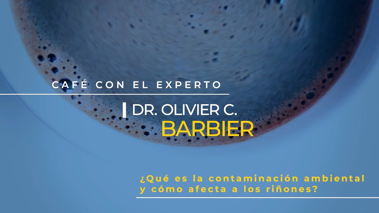 ¿Qué es la contaminación ambiental y cómo afecta a los riñones?